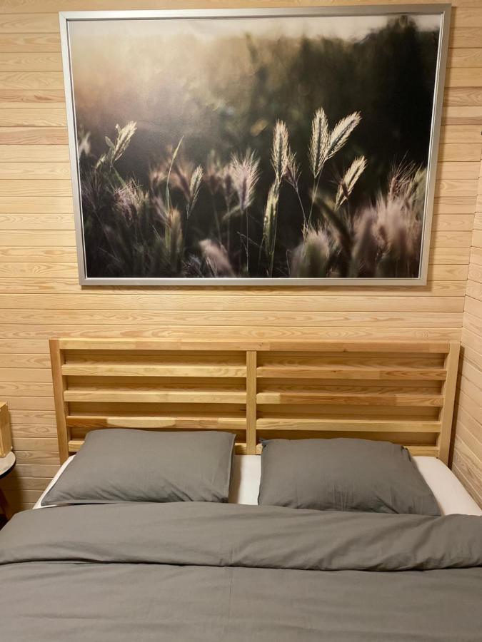 Tiny House Cesis Villa Buitenkant foto